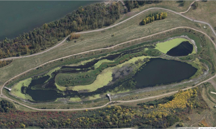 Kennedale Wetland